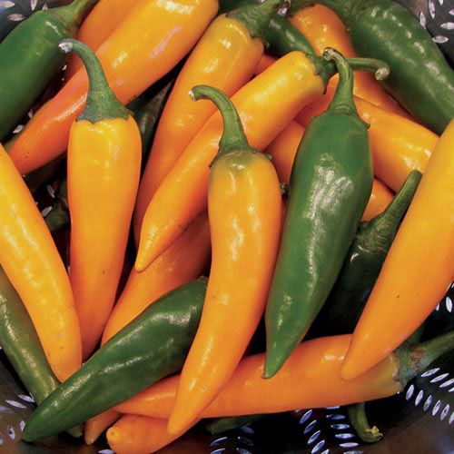 0320-bulgarian-carrot-pepper