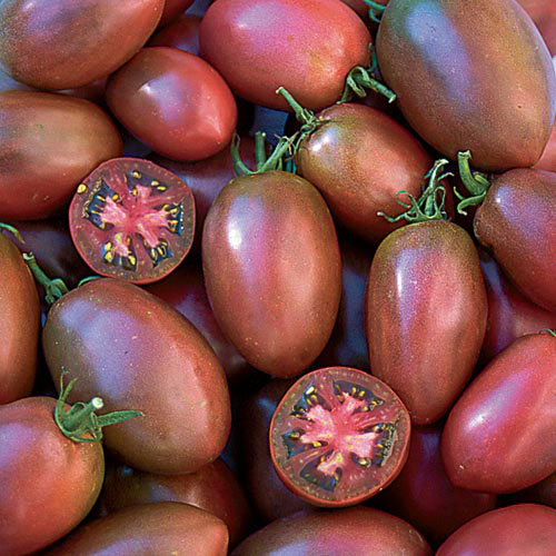 1234-ukrainian-purple-tomato