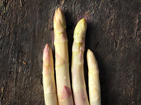 Asparagus-Precoce