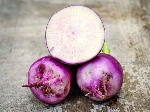 Turnip-Nagasaki-aka-Kabu