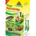 snail